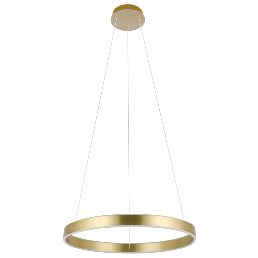 Eglo 33484 - LED pakabinama liustra ant laido ALCAZABA 2xLED/18W/230V 3000K skersmuo 55 cm auksinė