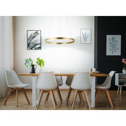 Eglo 33484 - LED pakabinama liustra ant laido ALCAZABA 2xLED/18W/230V 3000K skersmuo 55 cm auksinė