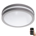 Eglo 33572 - LED pritemdomas vonios šviestuvas LOCANA-C LED/14W/230V IP44 sidabras