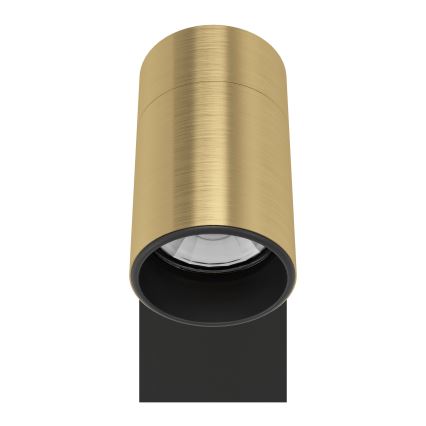 Eglo - LED sieninis akcentinis šviestuvas 1xGU10/4,5W/230V 3000K juoda/auksas