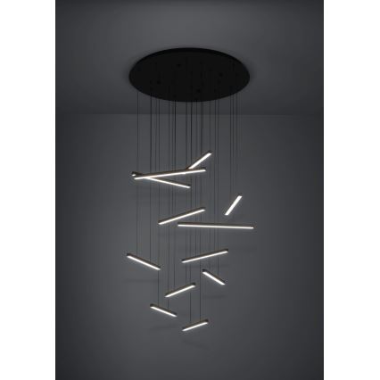 Eglo - LED Reguliuojamas pakabinamas sietynas 12xLED/8,4W/230V 3000K juoda