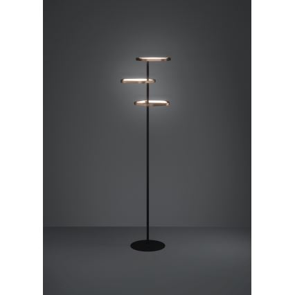 Eglo - LED reguliuojamas toršeras LED/20W/230V 2200-6500K žalvaris