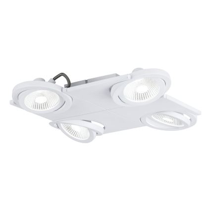 Eglo 39136 - LED akcentinis šviestuvas BREA 4xLED/5W/230V/12V