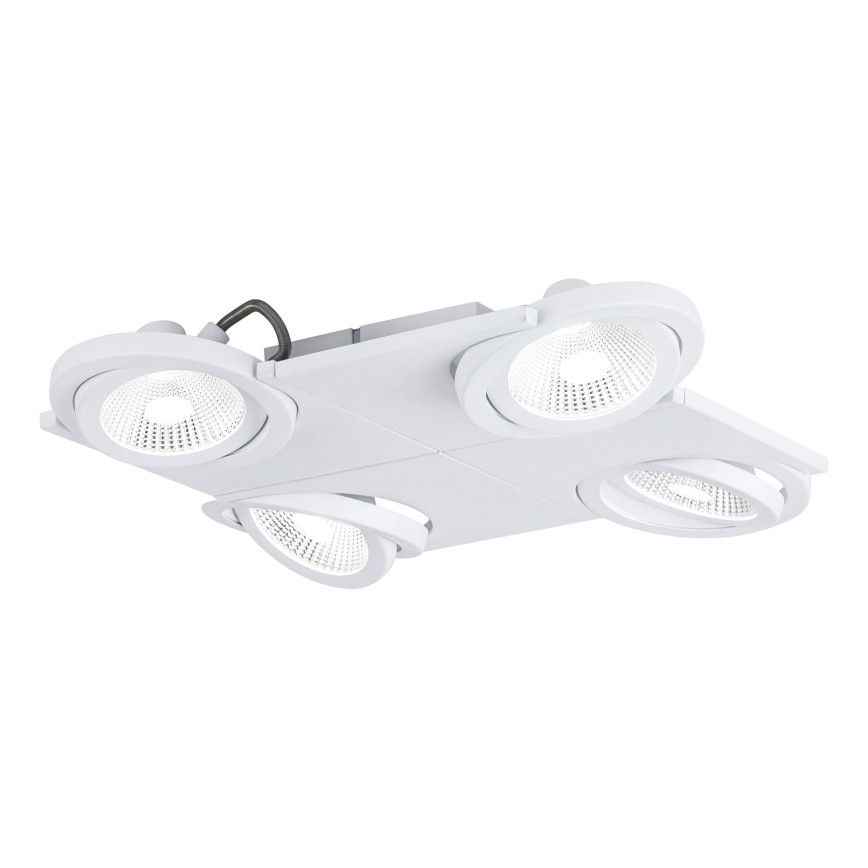 Eglo 39136 - LED akcentinis šviestuvas BREA 4xLED/5W/230V/12V