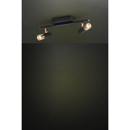 Eglo - LED akcentinis šviestuvas 2xLED/5W/230V/12V