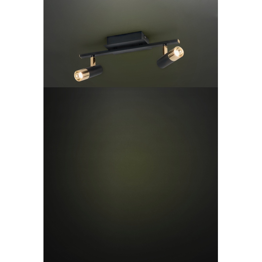Eglo - LED akcentinis šviestuvas 2xLED/5W/230V/12V