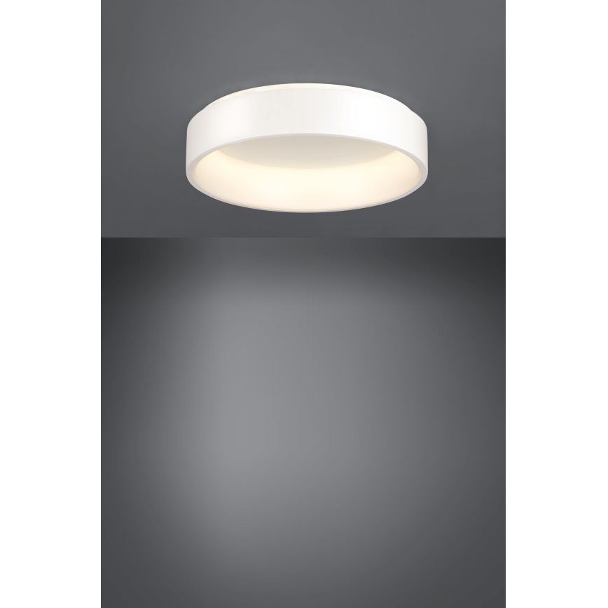 Eglo - LED Pritemdomas lubinis šviestuvas 1 LED/35,2W/230V