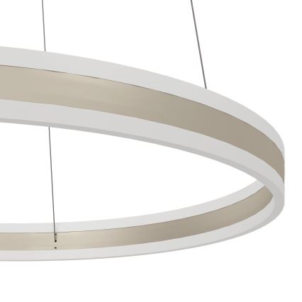 Eglo - LED Pritemdomas, ant virvės kabinamas, lubinis šviestuvas LED/78W/230V