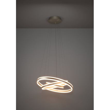 Eglo - LED Reguliuojamas pakabinamas sietynas LED/78W/230V + LED/70W + LED/34W