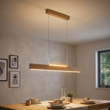 Eglo 39344 - LED pakabinama liustra ant laido CLIMENE LED/17W/230V + LED/4,2W ąžuolas