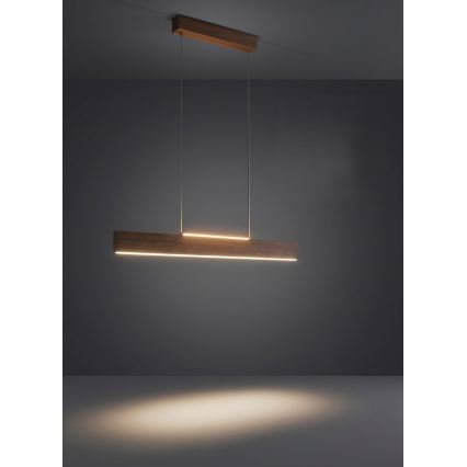 Eglo - LED liustra ant laido LED/17W/230V + LED/4,2W riešutas