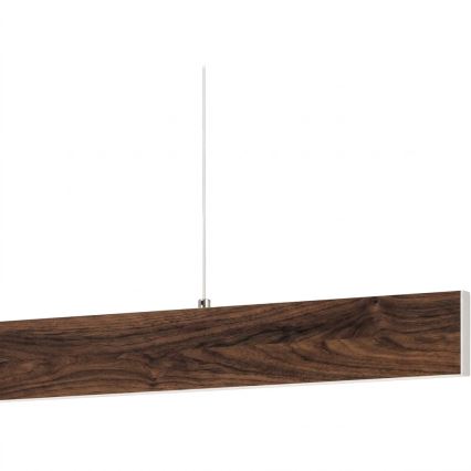 Eglo - LED liustra ant laido LED/17W/230V + LED/4,2W riešutas