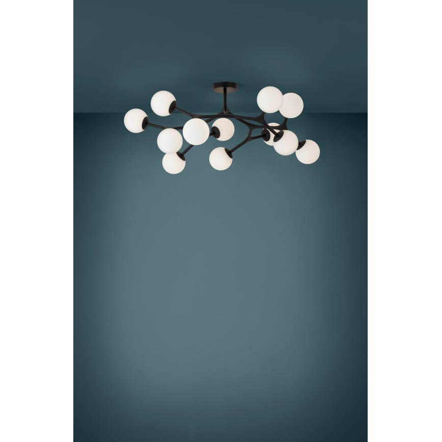 Eglo - LED Ant pagrindo montuojamas sietynas 12xG9/3W/230V