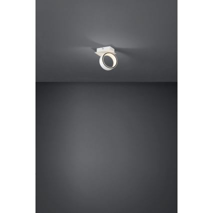 Eglo - LED akcentinis šviestuvas LED/4,6W/230V 3000K