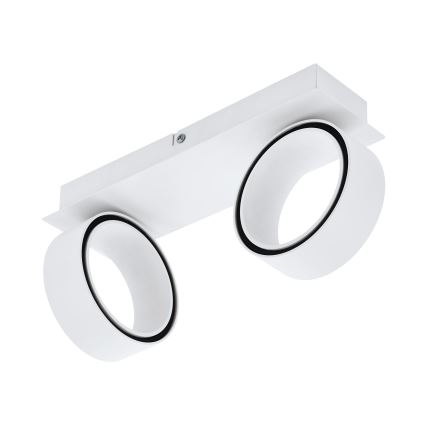 Eglo - LED akcentinis šviestuvas 2xLED/4,6W/230V 3000K