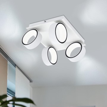 Eglo 39587 - LED akcentinis šviestuvas ALBARIZA 4xLED/4,6W/230V