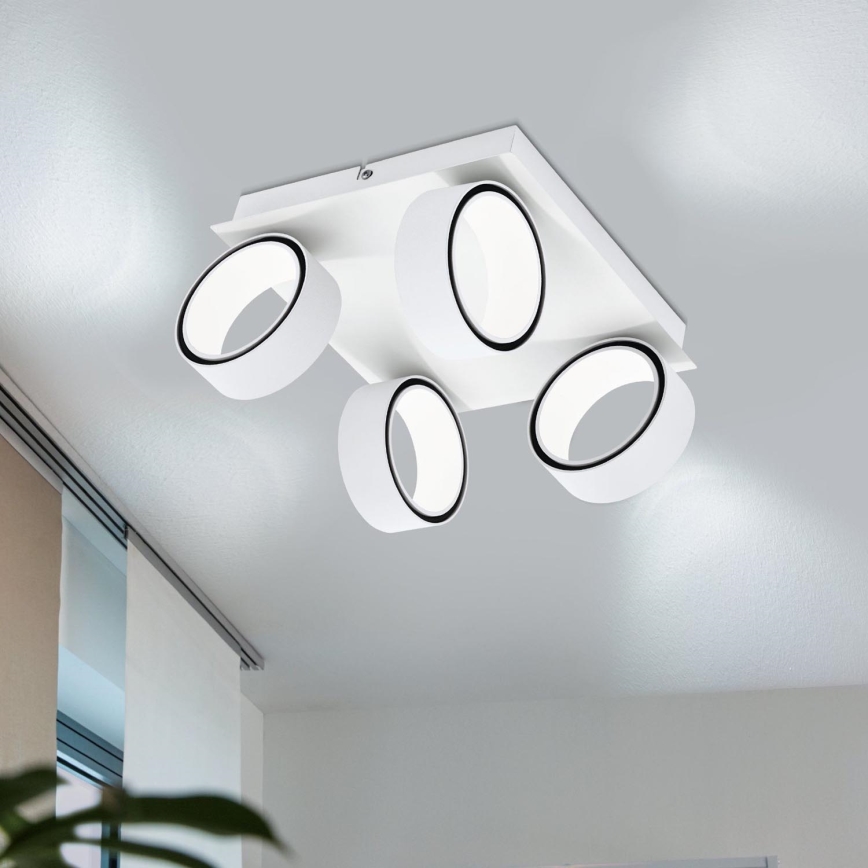 Eglo 39587 - LED akcentinis šviestuvas ALBARIZA 4xLED/4,6W/230V