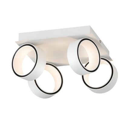 Eglo 39587 - LED akcentinis šviestuvas ALBARIZA 4xLED/4,6W/230V