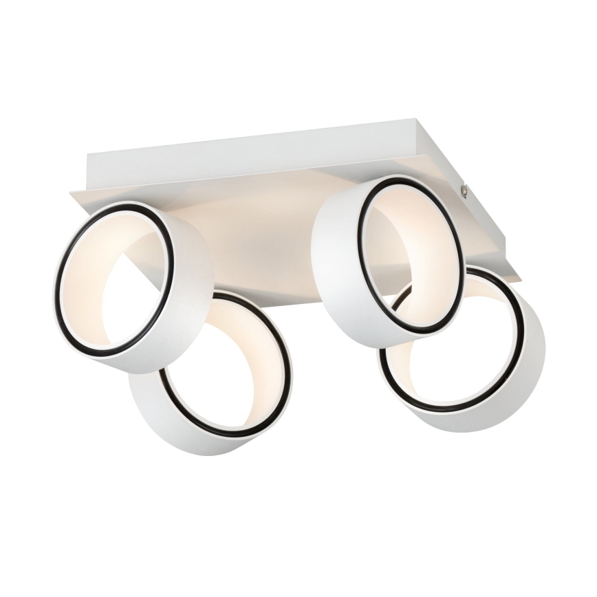 Eglo 39587 - LED akcentinis šviestuvas ALBARIZA 4xLED/4,6W/230V