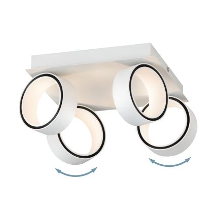 Eglo 39587 - LED akcentinis šviestuvas ALBARIZA 4xLED/4,6W/230V