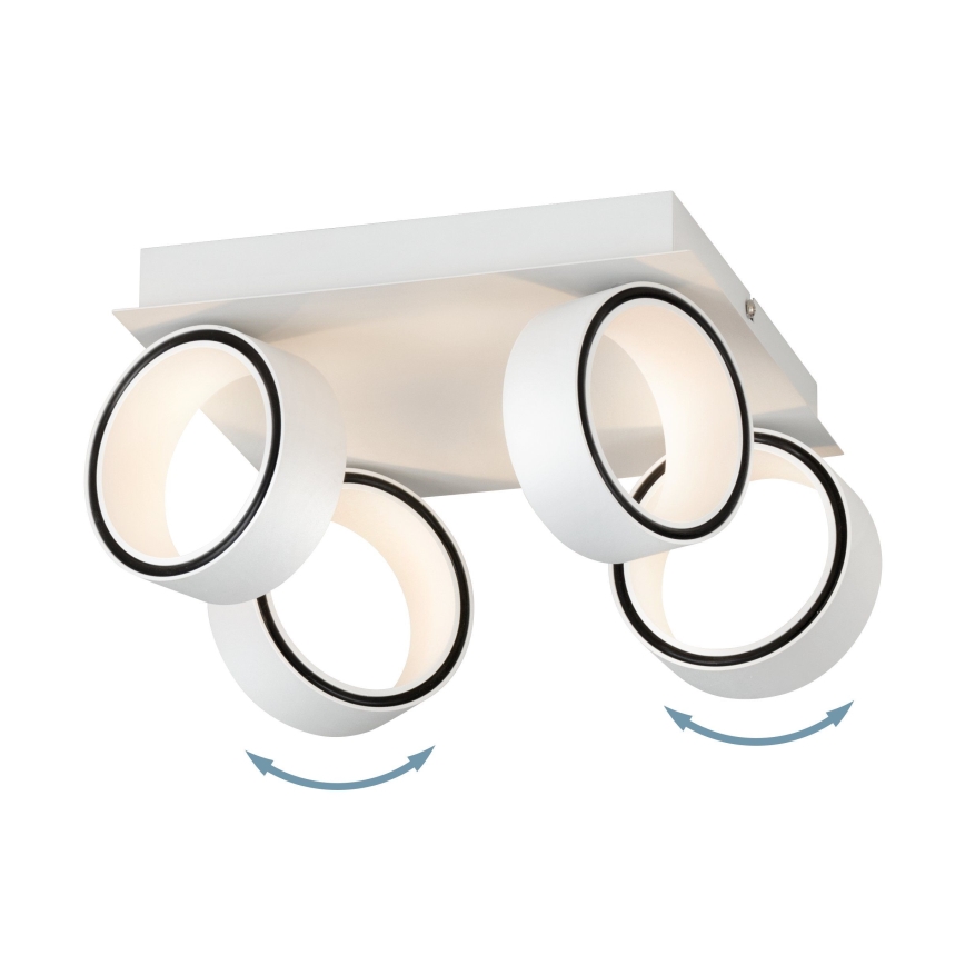 Eglo 39587 - LED akcentinis šviestuvas ALBARIZA 4xLED/4,6W/230V
