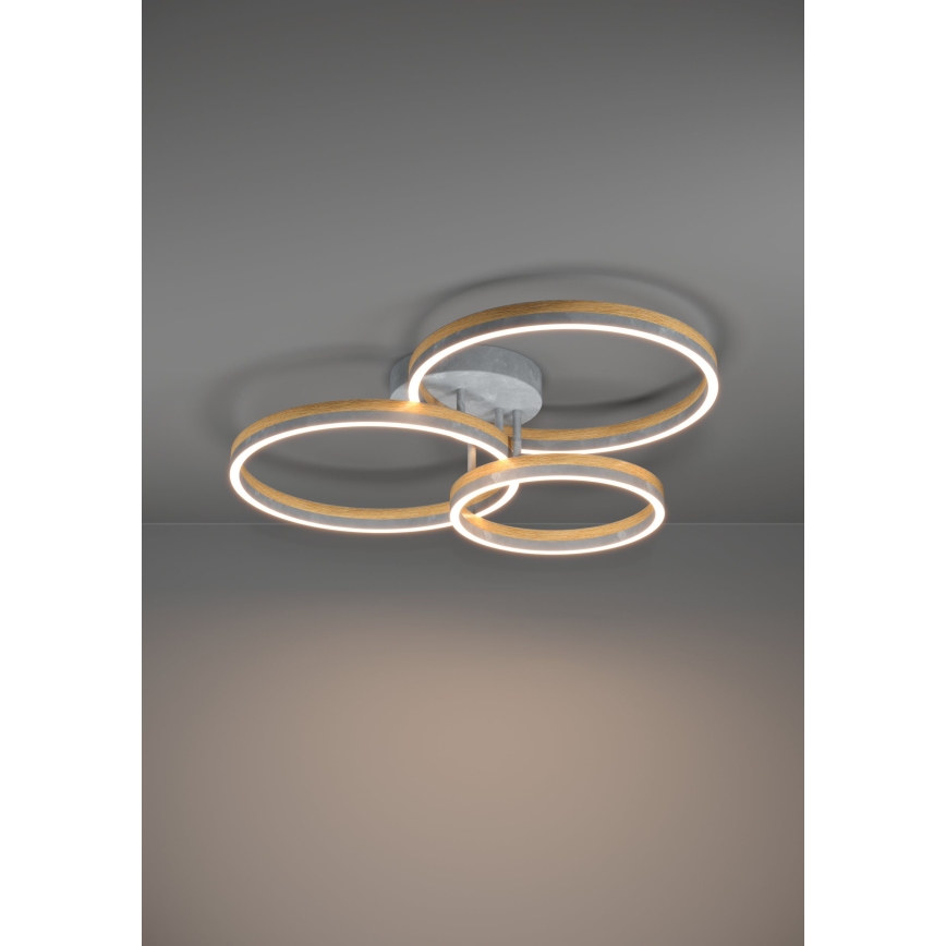 Eglo - LED Pritemdomas tvirtinamas sietynas LED/12,5W/230V + 2xLED/15,5W 3000K pilka/ąžuolas