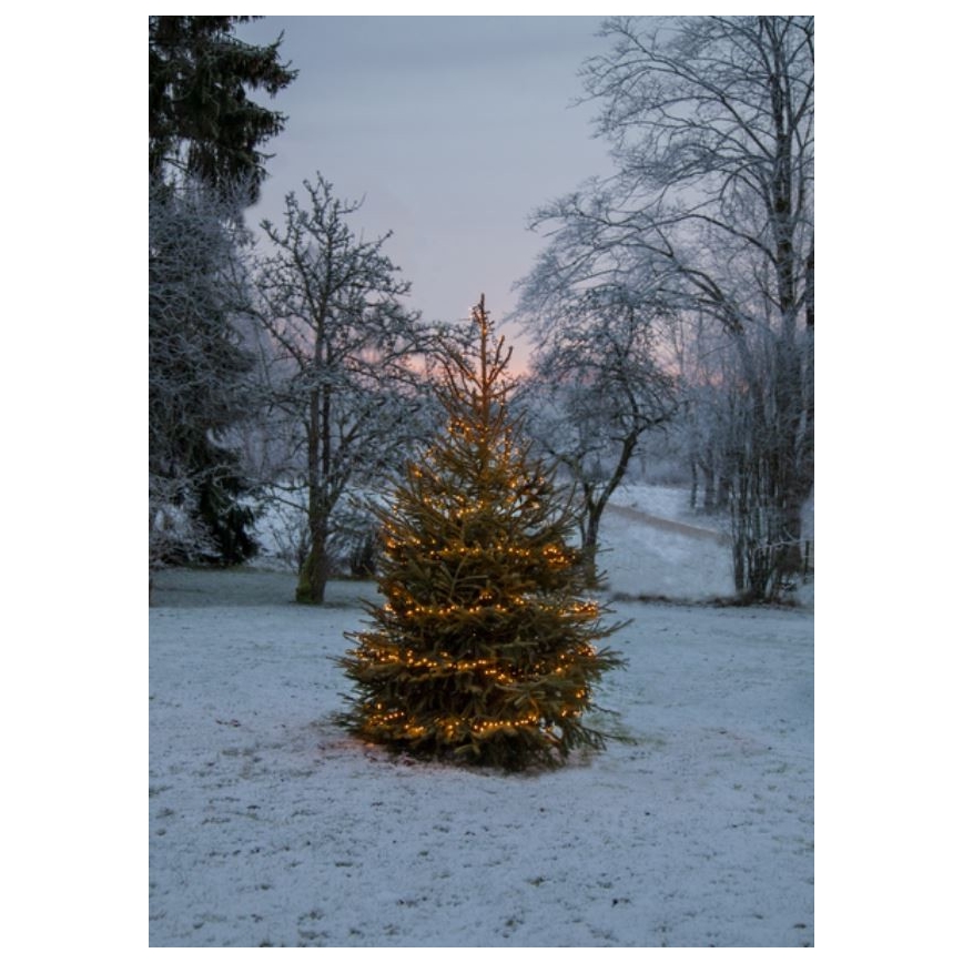 Eglo - LED Lauko Kalėdinė girlianda 1200xLED 24m IP44 šiltai balta