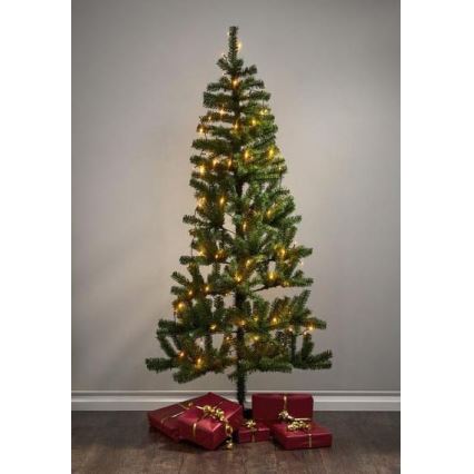 Eglo - Lauko LED girlianda 80 LED, 10,5 m, IP44, šiltai balta