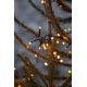 Eglo - LED Lauko kalėdinė girlianda 800xLED 16m IP44 šiltai balta
