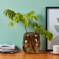 Eglo 421238 - Stiklinė vaza MAROSAVA 23x20 cm ruda/dūminė