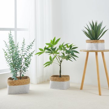 Eglo 426585 - Rinkinys 3 vnt. dekoratyvinių krepšelių NANAE 16×27 cm, balta/smėlio spalvos