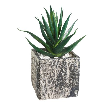 Eglo - Dirbtinis augalas vazone 13x9,5 cm sultingas