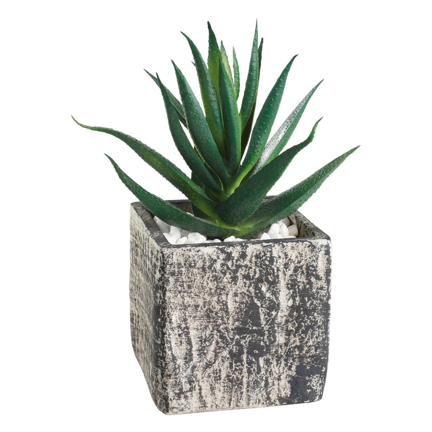 Eglo - Dirbtinis augalas vazone 13x9,5 cm sultingas