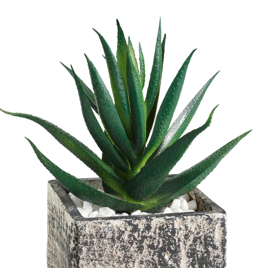 Eglo - Dirbtinis augalas vazone 13x9,5 cm sultingas