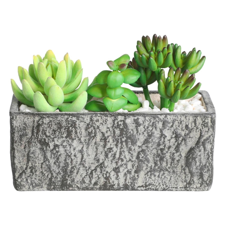 Eglo - Dirbtinis augalas vazone 14,5x17,8 cm sultingas