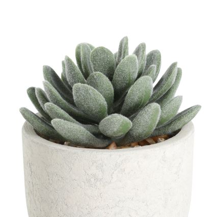 Eglo - Dirbtinis augalas vazone 11x8 cm sultingas