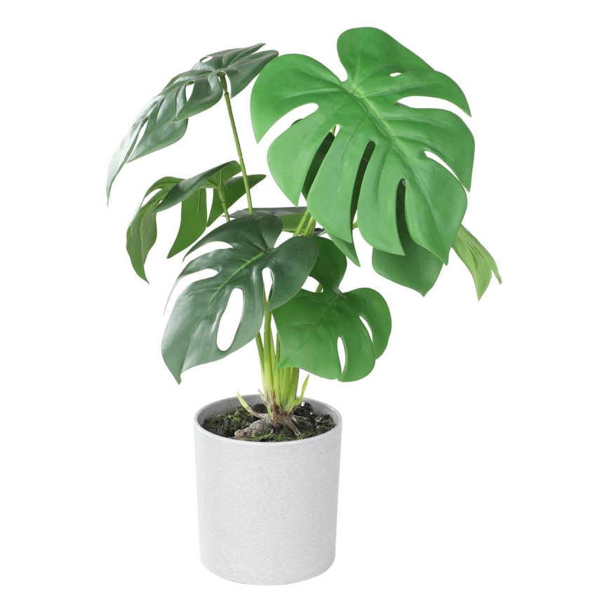 Eglo - Dirbtinis augalas vazone 42x30 cm monstera