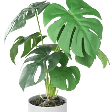 Eglo - Dirbtinis augalas vazone 42x30 cm monstera