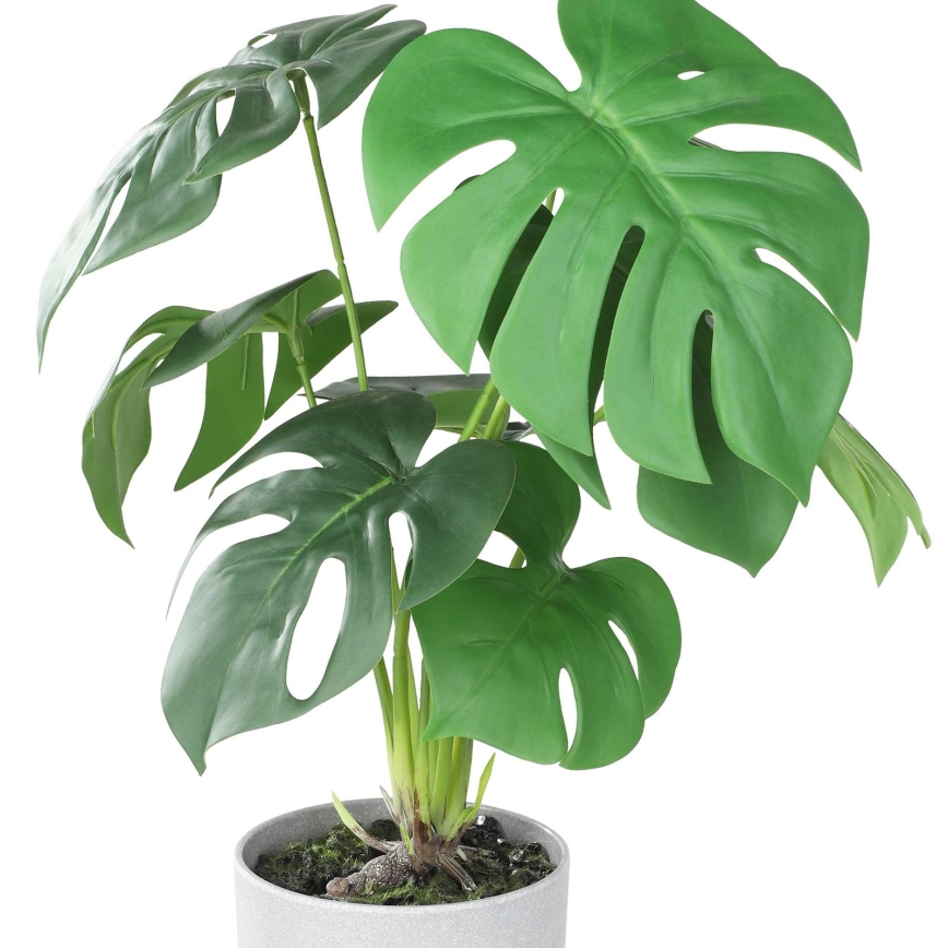 Eglo - Dirbtinis augalas vazone 42x30 cm monstera