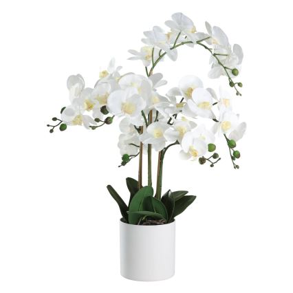 Eglo - Dirbtinis augalas vazone 65x50 cm orchidėja