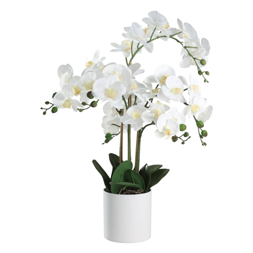 Eglo - Dirbtinis augalas vazone 65x50 cm orchidėja