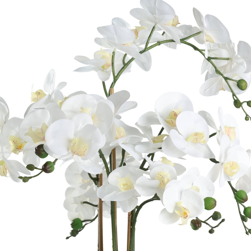 Eglo - Dirbtinis augalas vazone 65x50 cm orchidėja