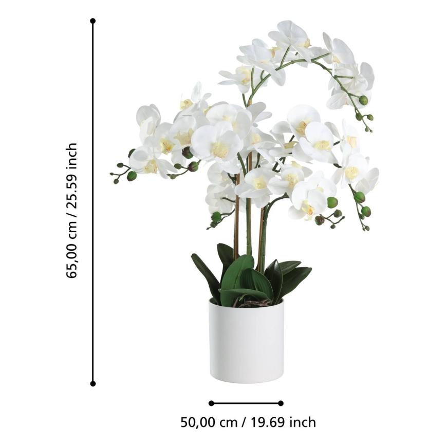 Eglo - Dirbtinis augalas vazone 65x50 cm orchidėja