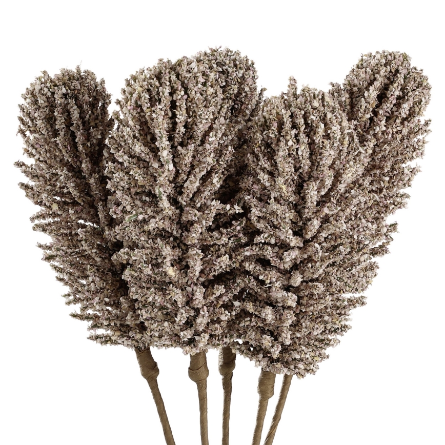 Eglo - Dirbtinė gėlė 30 cm smėlio spalva