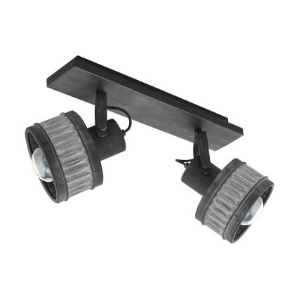 Eglo 43445 - Taškinis šviestuvas TURROCK 2xE27/28W/230V