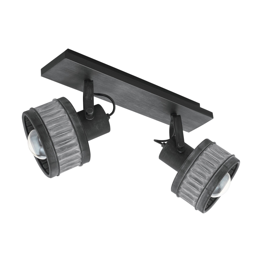Eglo 43445 - Taškinis šviestuvas TURROCK 2xE27/28W/230V