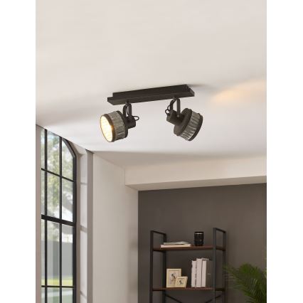 Eglo 43445 - Taškinis šviestuvas TURROCK 2xE27/28W/230V