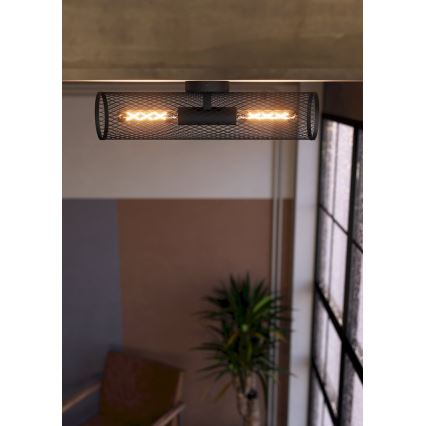 Eglo - Sieninis šviestuvas 2xE27/40W/230V