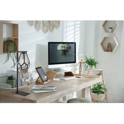 Eglo - Stalinė lempa 1xE27/40W/230V