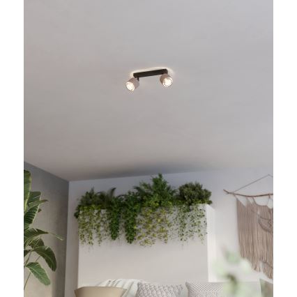 Eglo - Sieninis šviestuvas 2xE14/40W/230V juoda/smėlio spalva